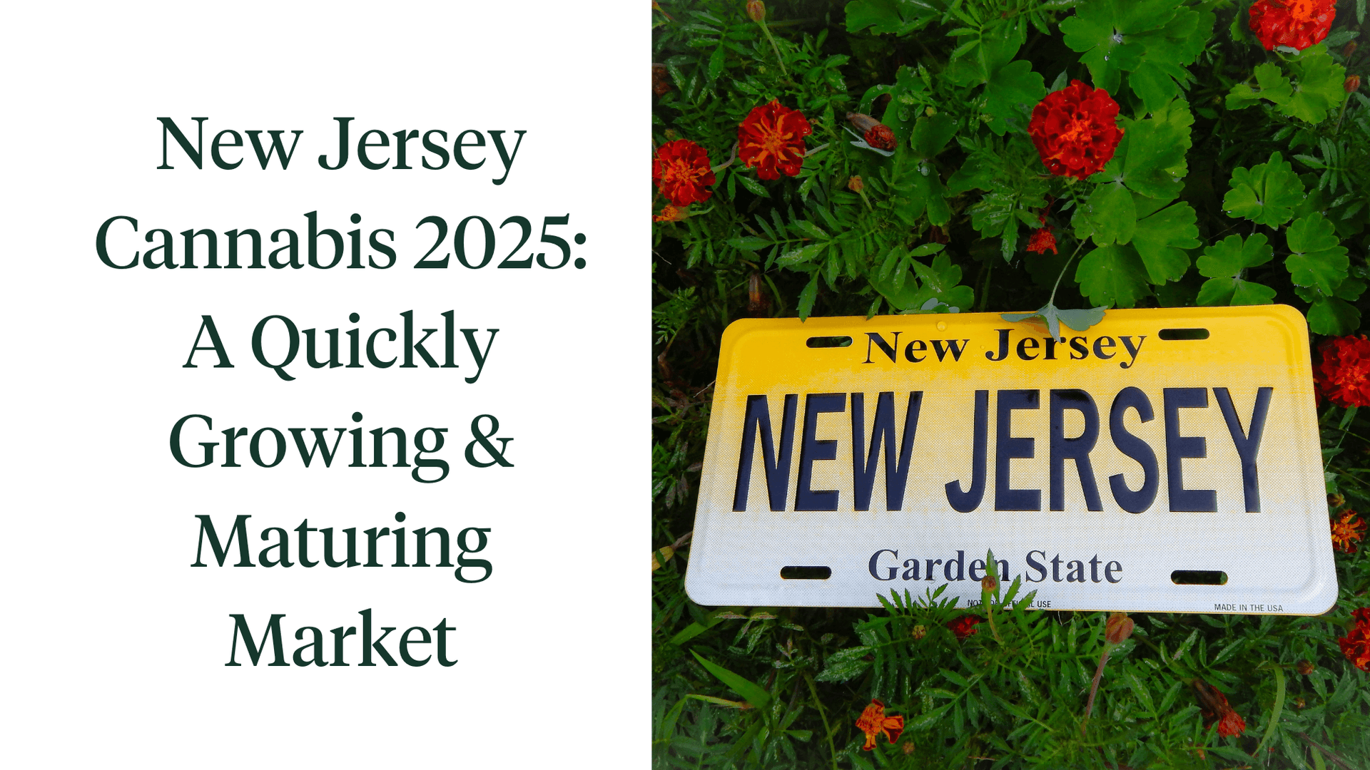New Jersey Market Graphic (2000 x 1125 px) (1)